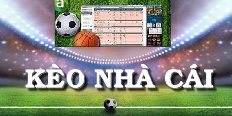 Kèo nhà cái Kubet tham gia cá cược tỷ lệ chính xác cao